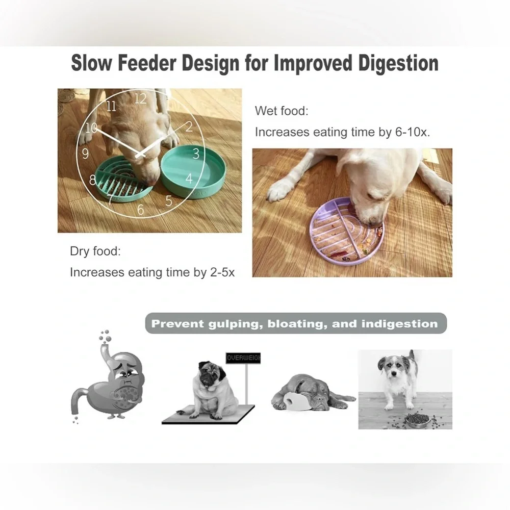 NEW-Slow Feeder Bowl Medium Dog Food & Water Bowl Promotes Healthy Digestion,